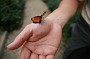 P_2007-12-16 14-25-23_1126